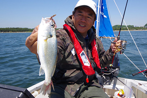 シログチを追う 釣果写真