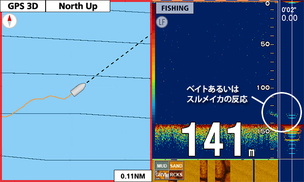 スルメイカを追う Vol 2 魚種ごとの反応 Furuno Style 魚探を使った釣りの楽しみ方