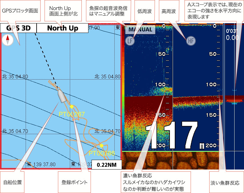 スルメイカを追う vol.3 GPS魚探映像