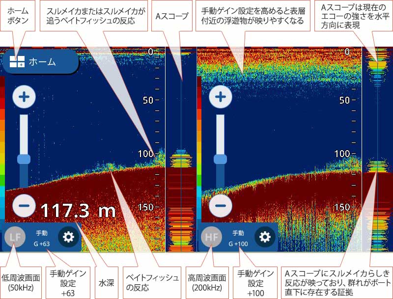 スルメイカを追う vol.4 GPS魚探映像