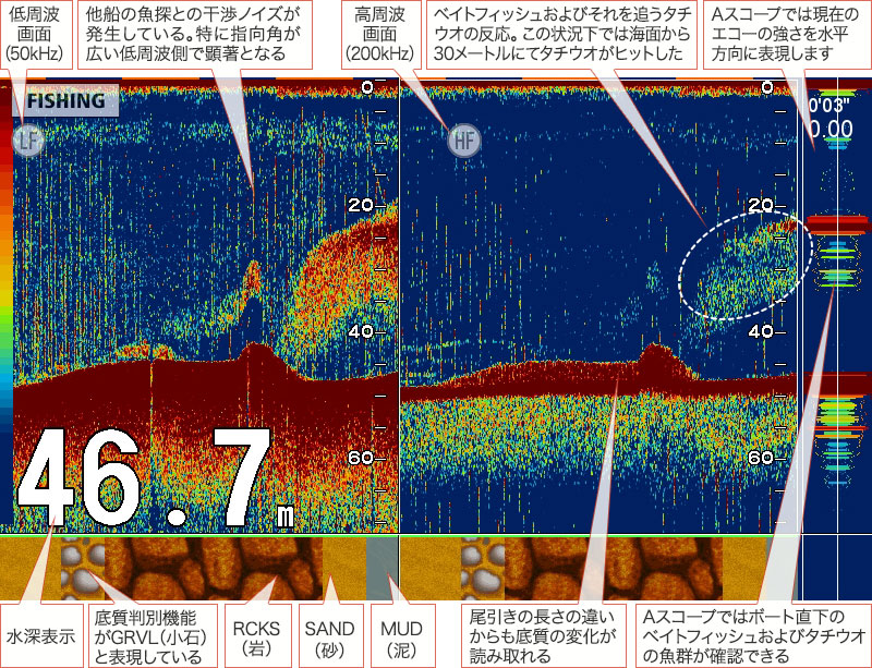 タチウオを追う vol.1 GPS魚探映像