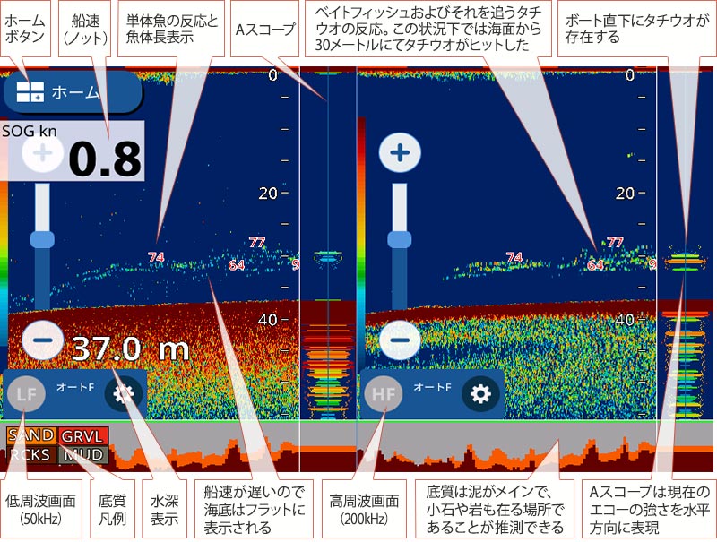 タチウオを追う vol.2 GPS魚探映像