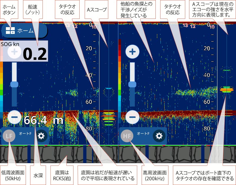 タチウオを追う vol.3 魚探映像