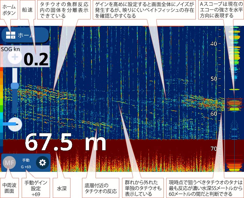 タチウオを追う vol.4 魚探映像