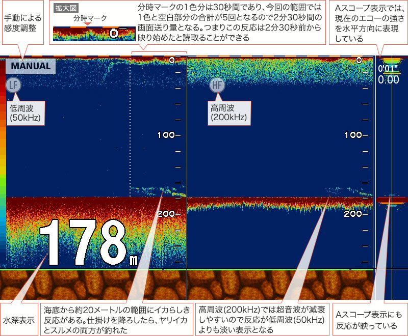 ヤリイカを追う vol.3 GPS魚探映像