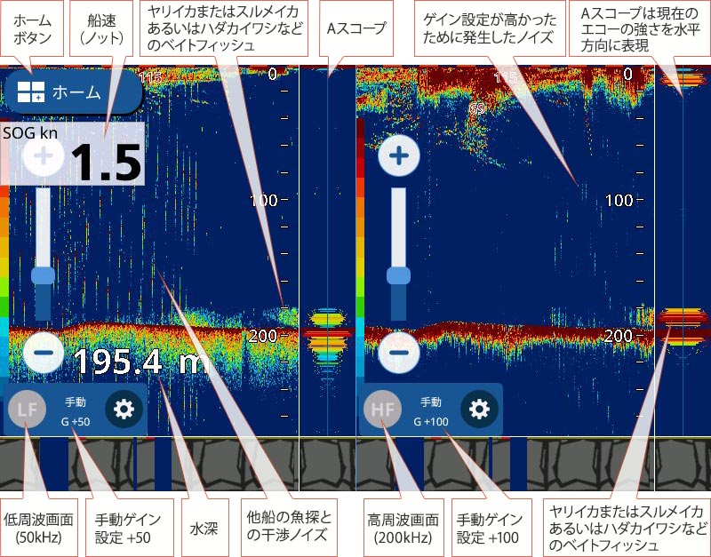 ヤリイカを追う vol.5 GPS魚探映像