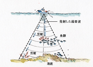 魚群探知機のしくみ   魚探の仕組み    ：魚探を使った釣り